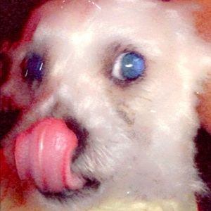 Meet your Posher, Brittany